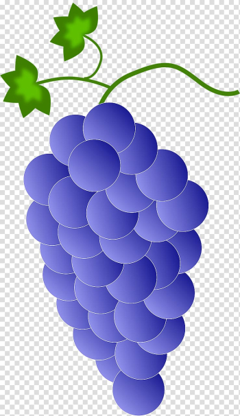 Red Wine Common Grape Vine , Purple grape cluster transparent background PNG clipart Red Wine Common Grape Vine , Purple grape cluster transparent background PNG clipart