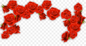 Red Wine Rosxe9 Rose - Red Rose Border Red Wine Rosxe9 Rose - Red Rose Border