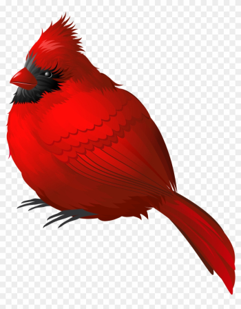 Red Winter Bird Png Clipart Image - Red Bird Png