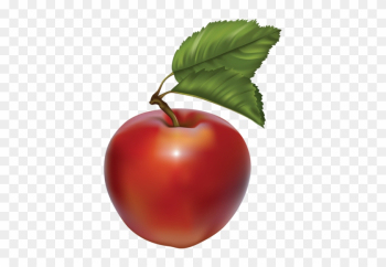 Redapp060 - Baby Food Companies Redapp060 - Baby Food Companies