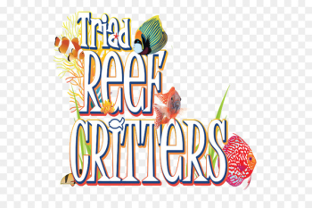 Reef aquarium Petco Animal Supplies Instagram - Marine Invertebrates 