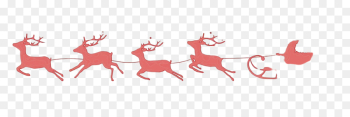 Reindeer Reindeer
