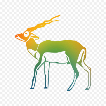 Reindeer Antelope Antler Art -  