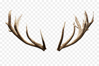 Reindeer Antler Clip art Portable Network Graphics - deer Reindeer Antler Clip art Portable Network Graphics - deer