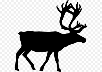 Reindeer, Deer, Santa Claus, Elk PNG Reindeer, Deer, Santa Claus, Elk PNG