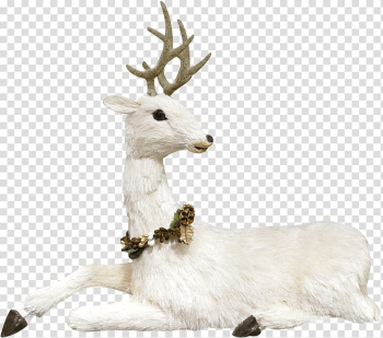 Reindeer Elk, White cute goat transparent background PNG clipart