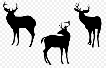 Reindeer, Elk, Whitetailed Deer, Mammal, Vertebrate PNG Reindeer, Elk, Whitetailed Deer, Mammal, Vertebrate PNG