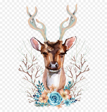 Reindeer Red deer Illustration - Watercolor deer Reindeer Red deer Illustration - Watercolor deer