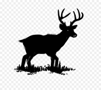 Reindeer, Television, China, Elk PNG