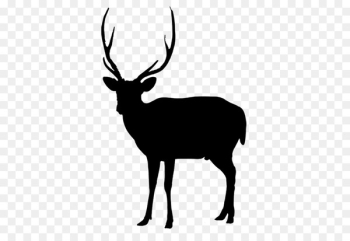 Reindeer Vector graphics Computer Icons Illustration - Reindeer Vector graphics Computer Icons Illustration -