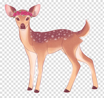 Reindeer White-tailed deer Sloth Animal, Reindeer transparent background PNG clipart