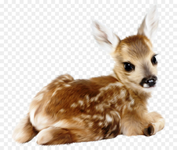 Reindeer White-tailed deer Wedding invitation Infant - Hand-painted deer 