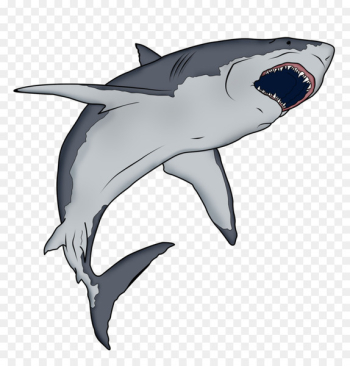 Requiem shark Hungry Shark Evolution Cartoon - shark 