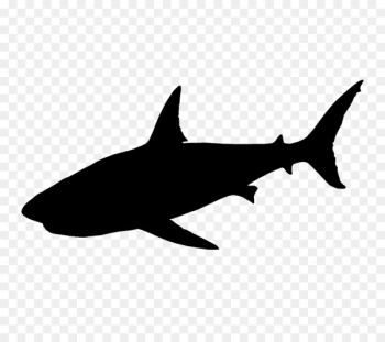 Requiem sharks Clip art Fauna Silhouette -  