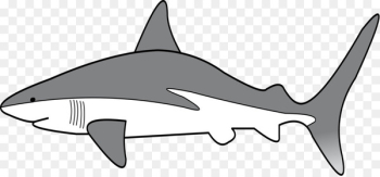 Requiem sharks Clip art Grey reef shark Shark threat display - shark 