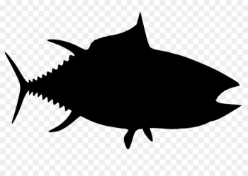 Requiem sharks Clip art Marine biology -  