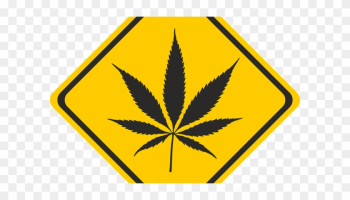 Responsible Recreational Marijuana Use In Nevada - Pot Leaf Responsible Recreational Marijuana Use In Nevada - Pot Leaf