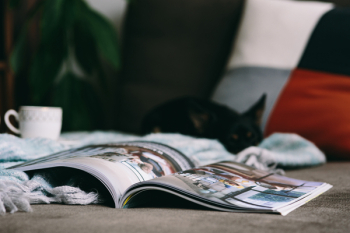 Resting with magazine and cute puppy Resting with magazine and cute puppy