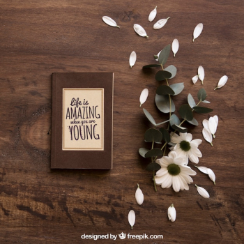 Retro book mockup