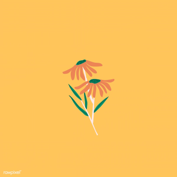 Retro brown daisies | Free stock vector - 893020