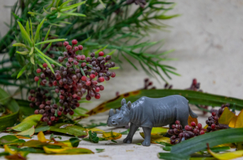 Rhino Figurine Rhino Figurine