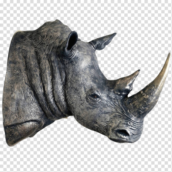 Rhinoceros Transparent Images Rhinoceros Transparent Images
