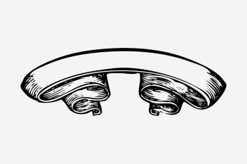 Ribbon banner drawing, vintage illustration. | Free Photo - rawpixel Ribbon banner drawing, vintage illustration. | Free Photo - rawpixel