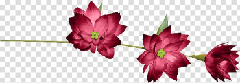 Ribbon Lazo Flower, ribbon transparent background PNG clipart Ribbon Lazo Flower, ribbon transparent background PNG clipart