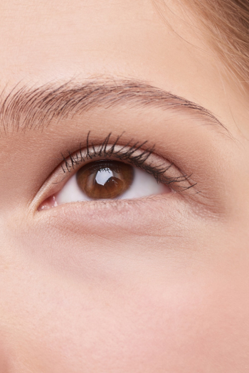 Right Human Eye Right Human Eye