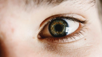 right human eye right human eye