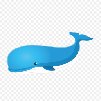 Right whales Blue whale - whale Right whales Blue whale - whale