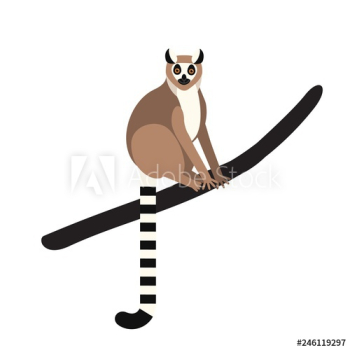 Ring-tailed lemur sitting on tree branch isolated on white background Ring-tailed lemur sitting on tree branch isolated on white background