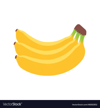 ripe banana fruit colored banana fruit ripe banana fruit colored banana fruit