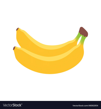 ripe banana fruit colored banana fruit ripe banana fruit colored banana fruit