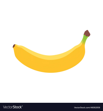 ripe banana fruit colored banana fruit ripe banana fruit colored banana fruit