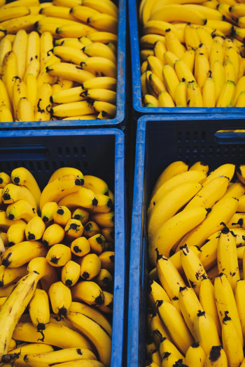 Ripe Bananas Ripe Bananas