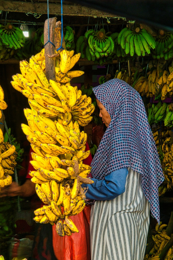 Ripe Bananas Ripe Bananas