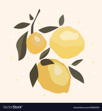 ripe juicy lemons with green leaves ripe juicy lemons with green leaves