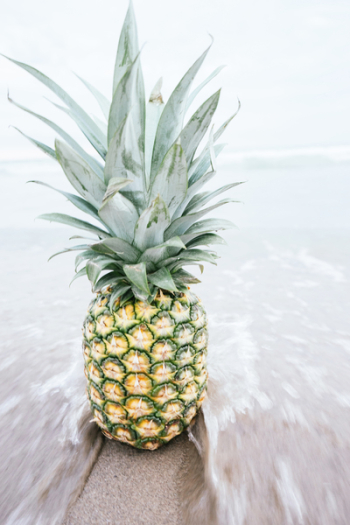 Ripe Pineapple Fruit Ripe Pineapple Fruit
