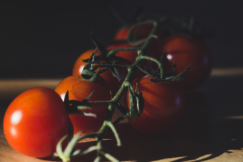 Ripe Tomatoes Ripe Tomatoes