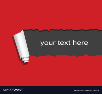 Ripped paper vector image Ripped paper vector image