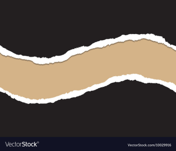 Ripped paper vector image Ripped paper vector image