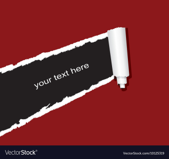 Ripped paper vector image Ripped paper vector image