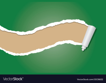 Ripped paper vector image Ripped paper vector image