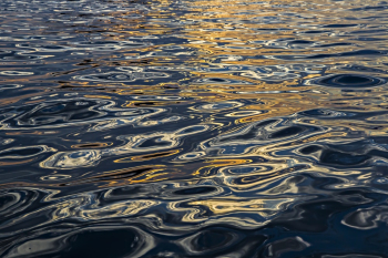 Ripples On Body Of Water Ripples On Body Of Water