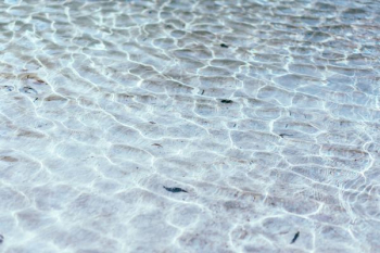 ripples on water surface ripples on water surface