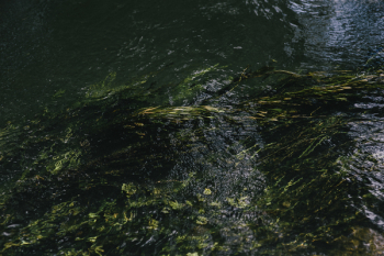 River River