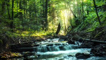River Flowing River Flowing
