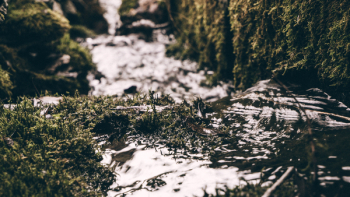 River Photo River Photo