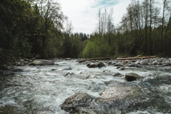 River Rapids River Rapids